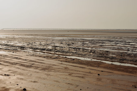 Afar herders lead caravans of dromedaries and donkeys from Hamed Ale hamlet to Lake Assale saltern-load salt blocks-transport them to market-Berahile town through Danakil desert. Afar region-Ethiopia.の写真素材