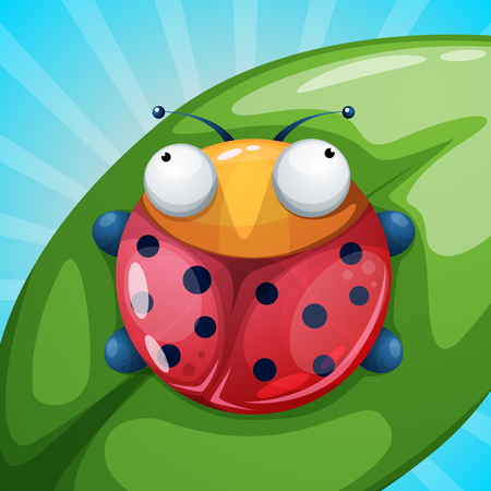 Insect, ladybug cartoon illustration.のイラスト素材