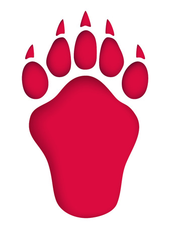Footprint of brown and polar bear.のイラスト素材