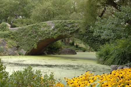 Bridge in Central Parkの写真素材