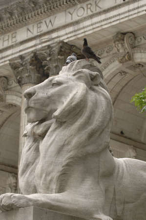 Lion statue outside New York Libraryの写真素材
