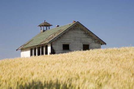 Abandoned house in wheat fieldの写真素材