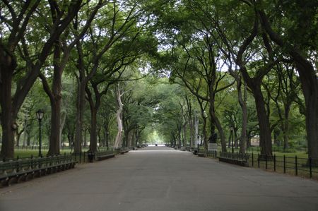 Central Park walkwayの写真素材