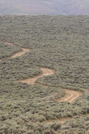 Windy gravel road out on the praire
