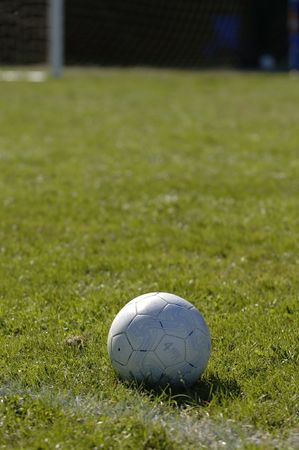 Single soccer ball sitting on the fieldの写真素材