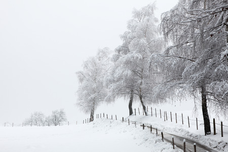 winterの写真素材