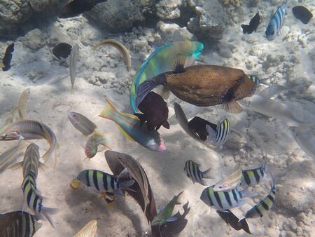 underwater world