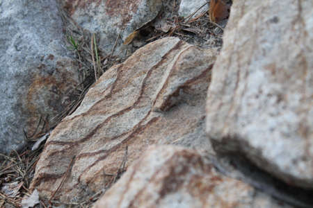 stone patternの写真素材