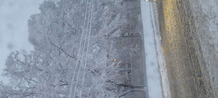 natureの写真素材