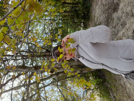 natureの写真素材