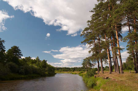 Woodland landscapeの写真素材