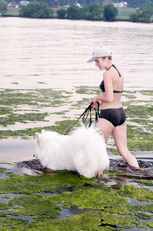 Girl with samoed in waterの写真素材