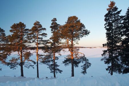 Country landscape - lake under iceの写真素材