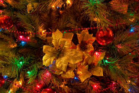 Christmas tree with golden poinsettia ornamentの写真素材