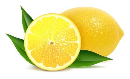 illustration of fresh lemons with leavesのイラスト素材