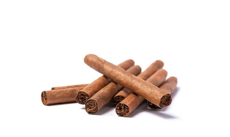 Brown cigar burned on white background. Brown cigarの写真素材