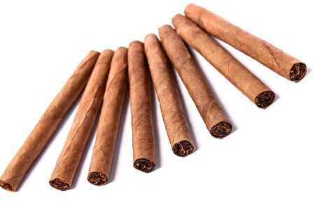 Brown cigar burned on white background. Brown cigarの写真素材