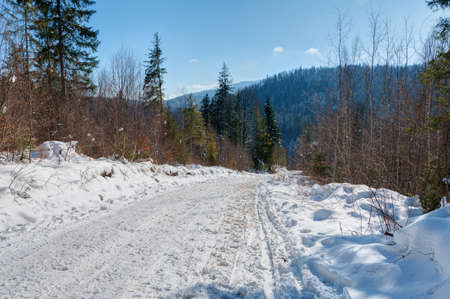 Carpathian Mountains. Winter landscape of the Carpathian mountains on a Sunny day.の写真素材
