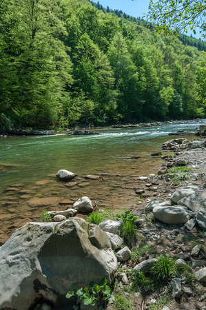 Mountain landscape, forest and fast mountain river. Beautiful scenery with a mountain river.の写真素材