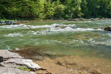 Mountain landscape, forest and fast mountain river. Beautiful scenery with a mountain river.の写真素材