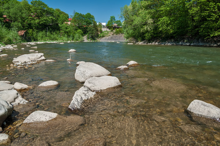 Mountain landscape, forest and fast mountain river. Beautiful scenery with a mountain riverの写真素材