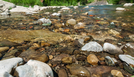 Mountain landscape, forest and fast mountain river. Beautiful scenery with a mountain riverの写真素材