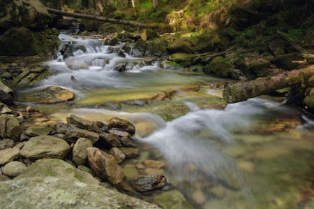 The mountain river flows through a green fairy forest.