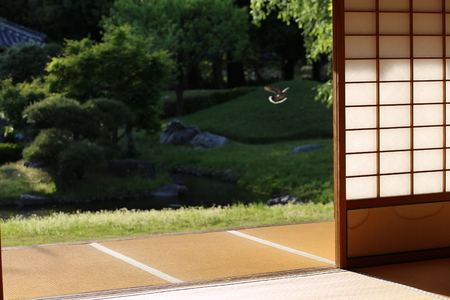 Japanese gardenの写真素材