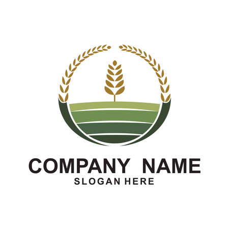 Agriculture Logo Template. Rice plants, and Wheat plants logo design.のイラスト素材
