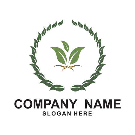 Agriculture Logo Template. Rice plants, and Wheat plants logo design.のイラスト素材