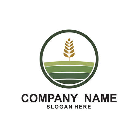 Agriculture Logo Template. Rice plants, and Wheat plants logo design.のイラスト素材