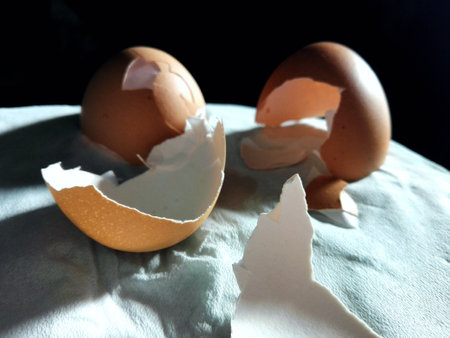 Eggの写真素材