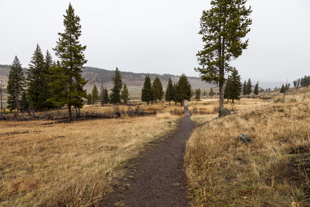 This hiking trail leads to Wraith Fallsの写真素材
