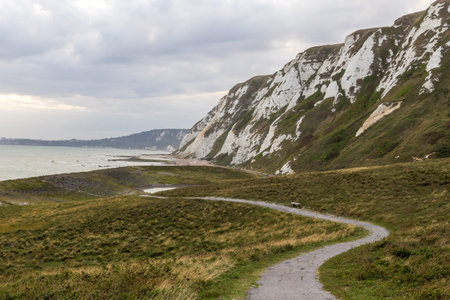 A footpath meanders through a grassy field next to the White Cliffs of Dover.
