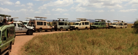 Safari trucks all stopped in one spot to view wildlifeのeditorial素材