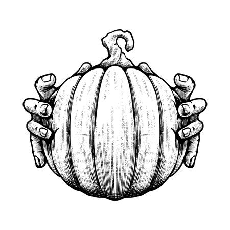 Pumpkin Hand Drawn Engraving Pen and Ink Vintage Vector illustrationのイラスト素材