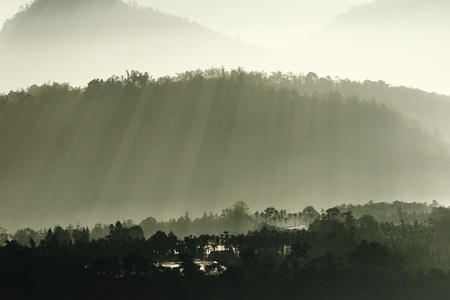 morning sunshine with fogの写真素材