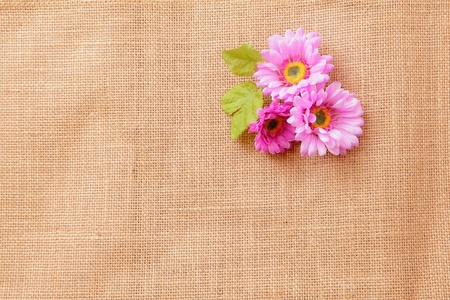linen texture background with beautiful flowersの写真素材