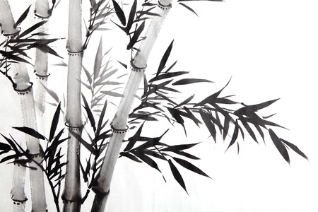 bamboo leaf , traditional chinese calligraphy art isolated on white background.の写真素材