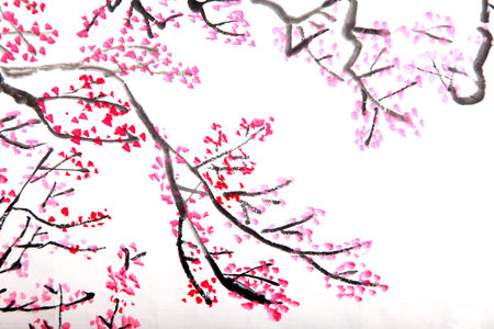 Traditional Chinese painting of flowers, plum blossom close up white の写真素材