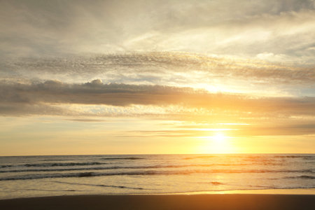 Soft Sea Ocean Waves Wash Over Golden Sand Background. Sunset, Sunrise, Sun. の写真素材