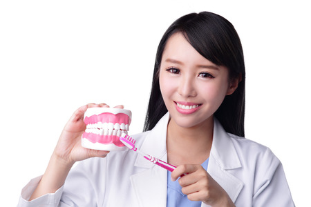 Smile woman dentist doctor teach you brush teeth. Isolated over white background. asianの写真素材