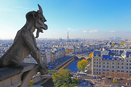 Aerial view of Paris City, eiffel tower and Seine river shot on the top of Notre Dame Cathedral. focus on the stone demon gargoyleの写真素材