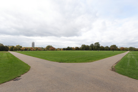 fork road in the beautiful Hyde parkの写真素材