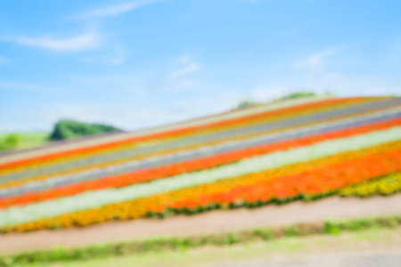 defocus bokeh of beautiful  landscape in Shikisai no oka and japanの写真素材