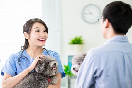 Young female veterinarian doctor smile and hold the dogの写真素材