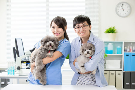 Young female veterinarian doctor and man with dogs look to you happilyの写真素材