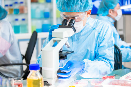 Asian Quality control expert inspecting at food specimen meat in the laboratory