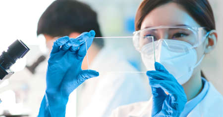 asian microbiologist biotechnology researcher or medical worker look microscope in the labの写真素材