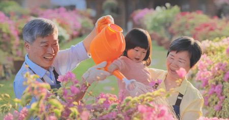 Authentic shot of asian retired grandparent are watering plants with their granddaughter in the...